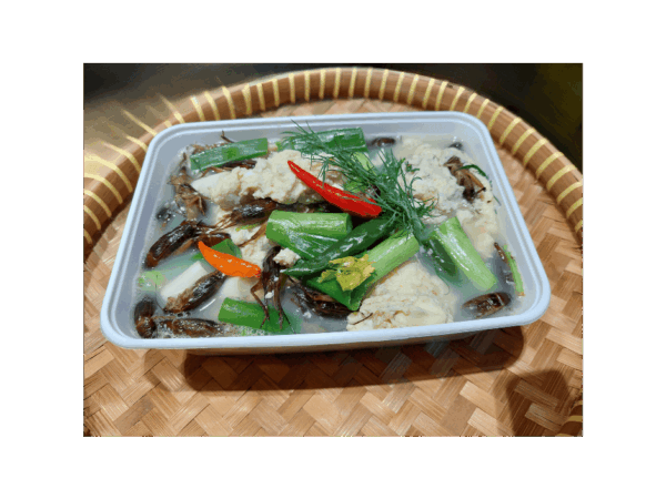 Kaeng qoua Kai - Isaan curry met krekels